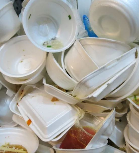 disposable plates harms envoirment